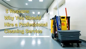 Top 5 Reasons Why You Should Hire a Professional Cleaning Service