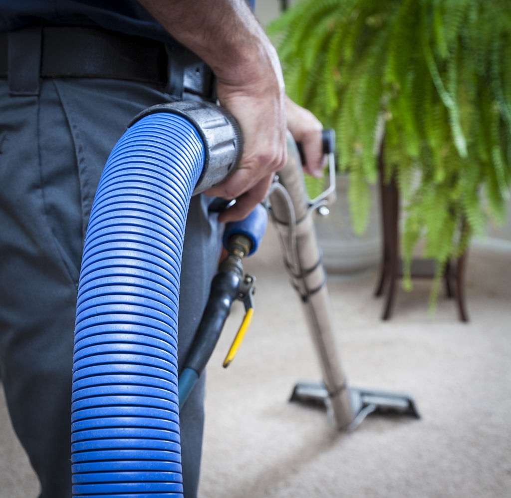 carpet cleaning services