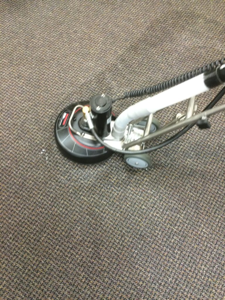 carpet extraction